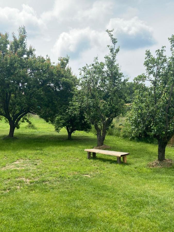 Holiday Home Znojmo W/ Wellness & Wine Dış mekan fotoğraf